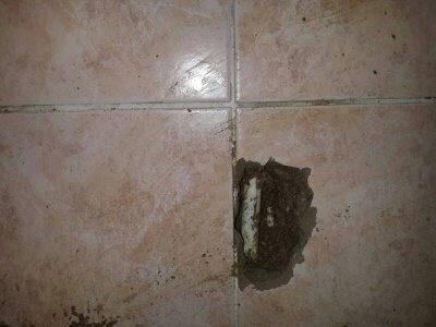 İzmir Buca 29 Ekim Mahallesi Su Kaçağı Tespiti İzmir Buca 29 Ekim Mahallesi Su Kaçağı Tespiti